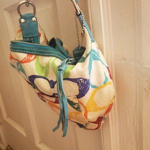 Multi colored small hobo